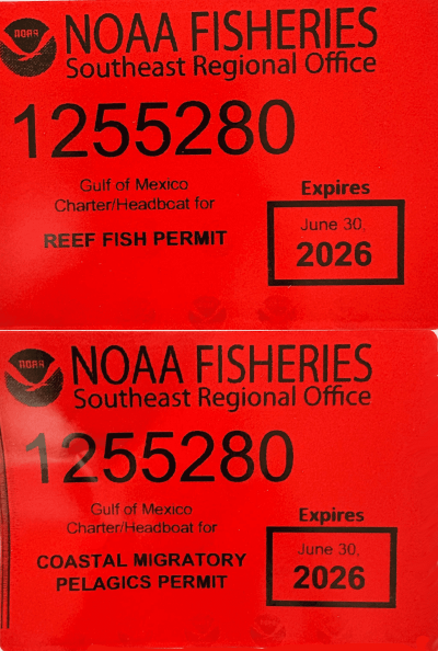 permits permits